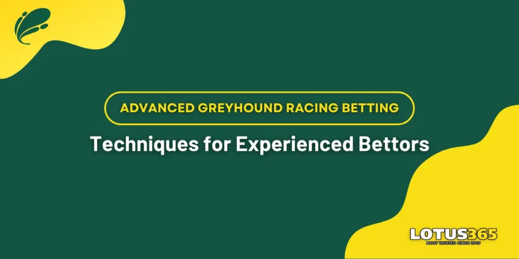 advanced greyhound racing betting techniques for experienced bettors