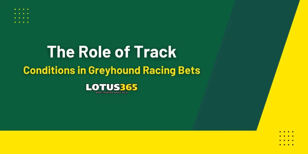 the role of track conditions in greyhound racing bets